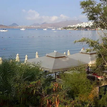 Hotel Manuela Boutique