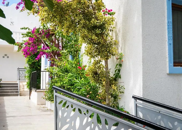 酒店 Manuela Boutique 3*