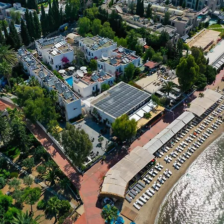 Manuela Boutique 比特兹