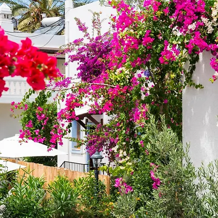 Manuela Boutique 3* Bitez