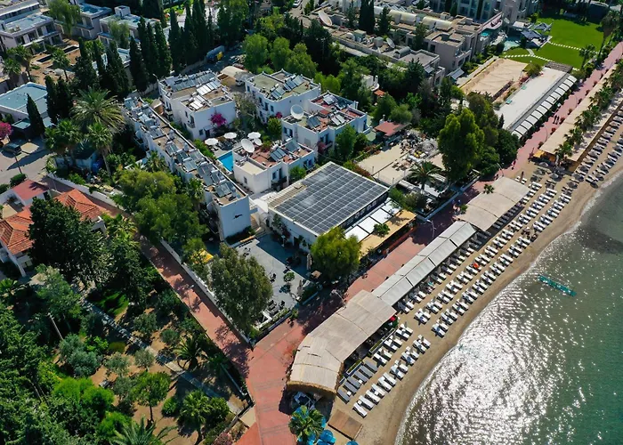 Manuela Boutique 比特兹