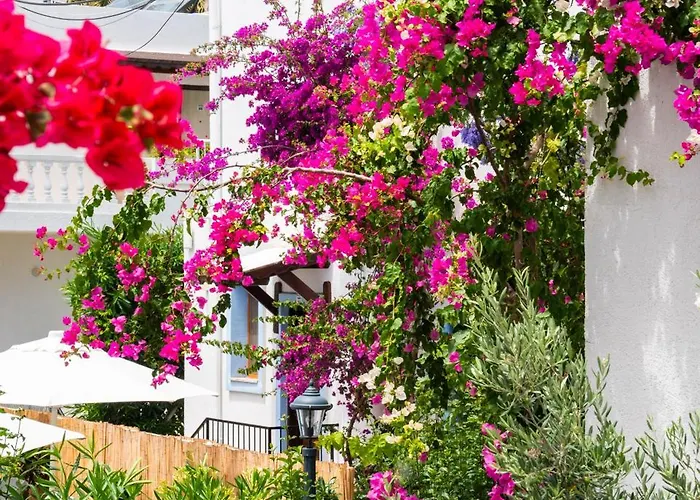 Manuela Boutique 3* 比特兹