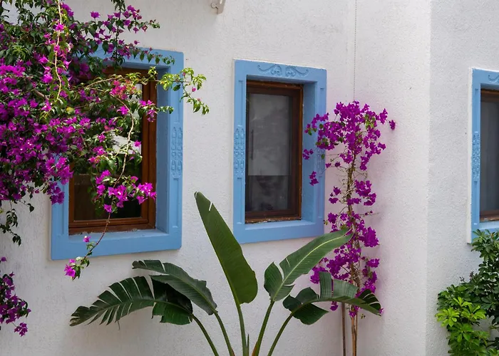 Manuela Boutique 酒店