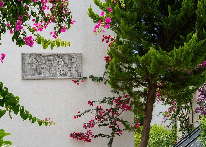 酒店 Manuela Boutique 比特兹