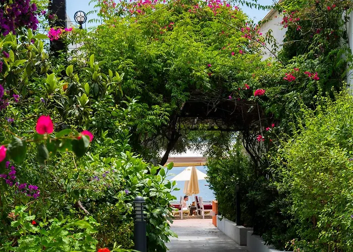 Manuela Boutique 酒店