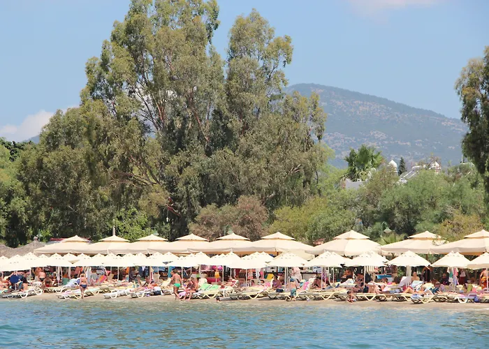 Manuela Boutique 酒店