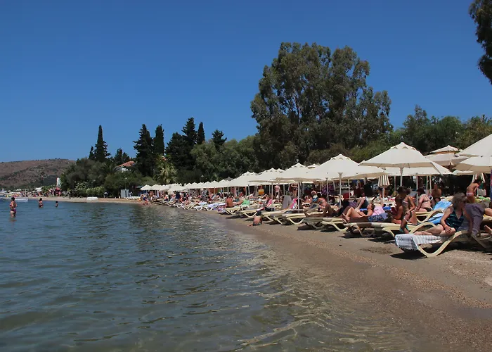 Manuela Boutique 酒店