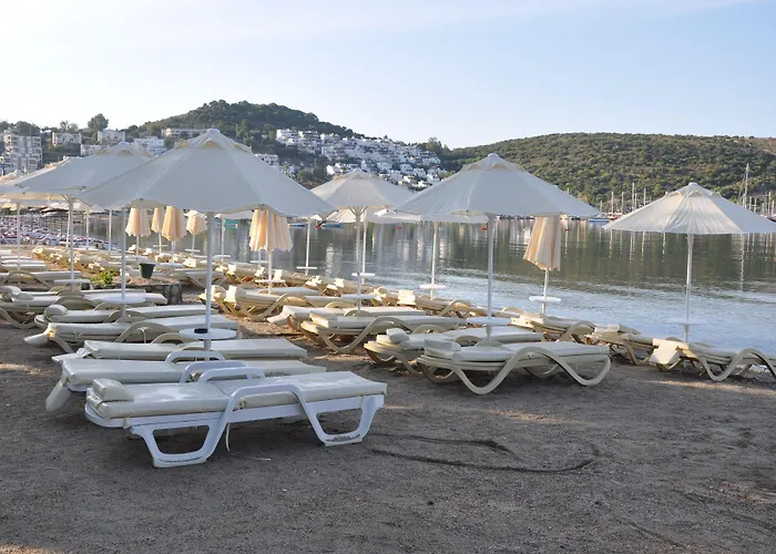 酒店 Manuela Boutique 比特兹