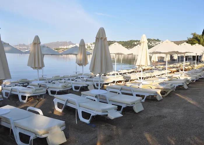 Manuela Boutique 酒店