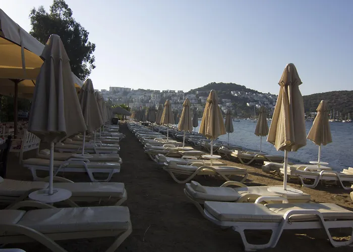 Manuela Boutique 酒店