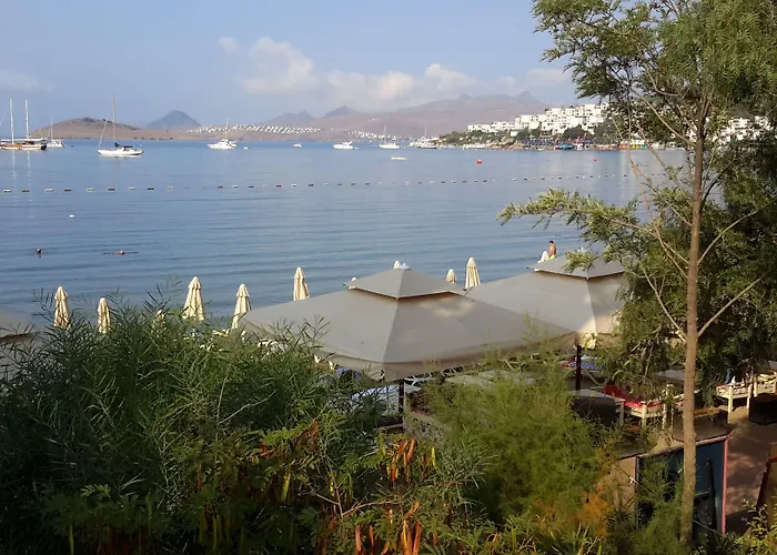 酒店 Manuela Boutique